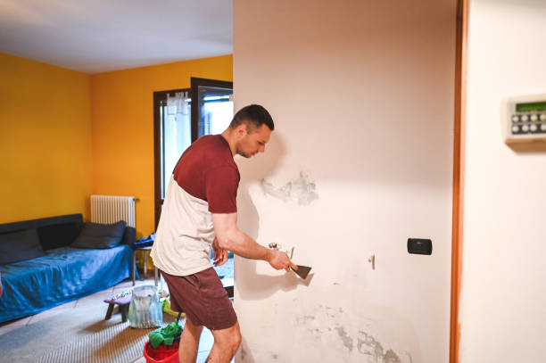 Best Professional Mold Removal  in Blytheville, AR